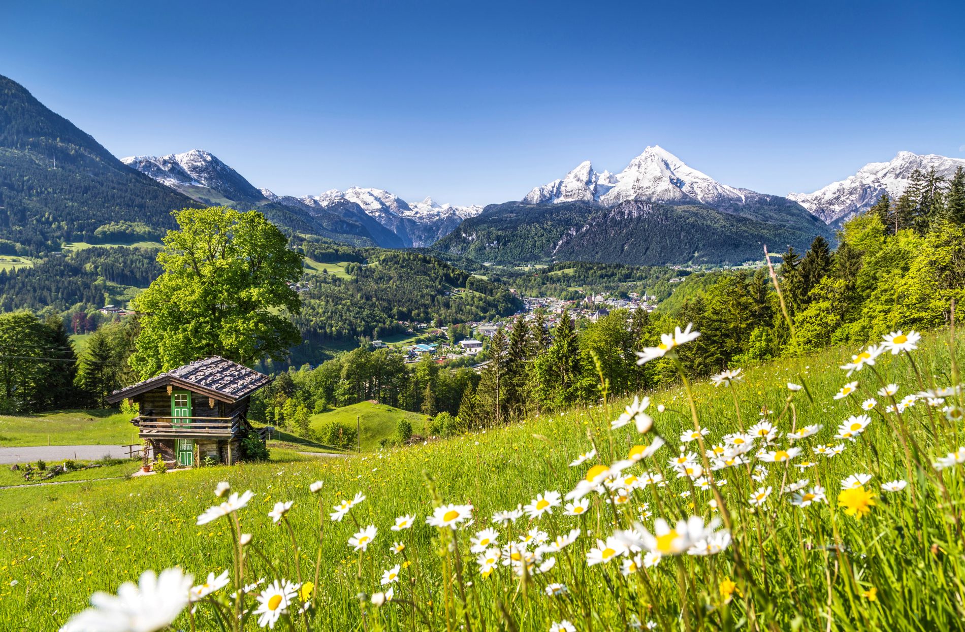 Hintergrund-Bild