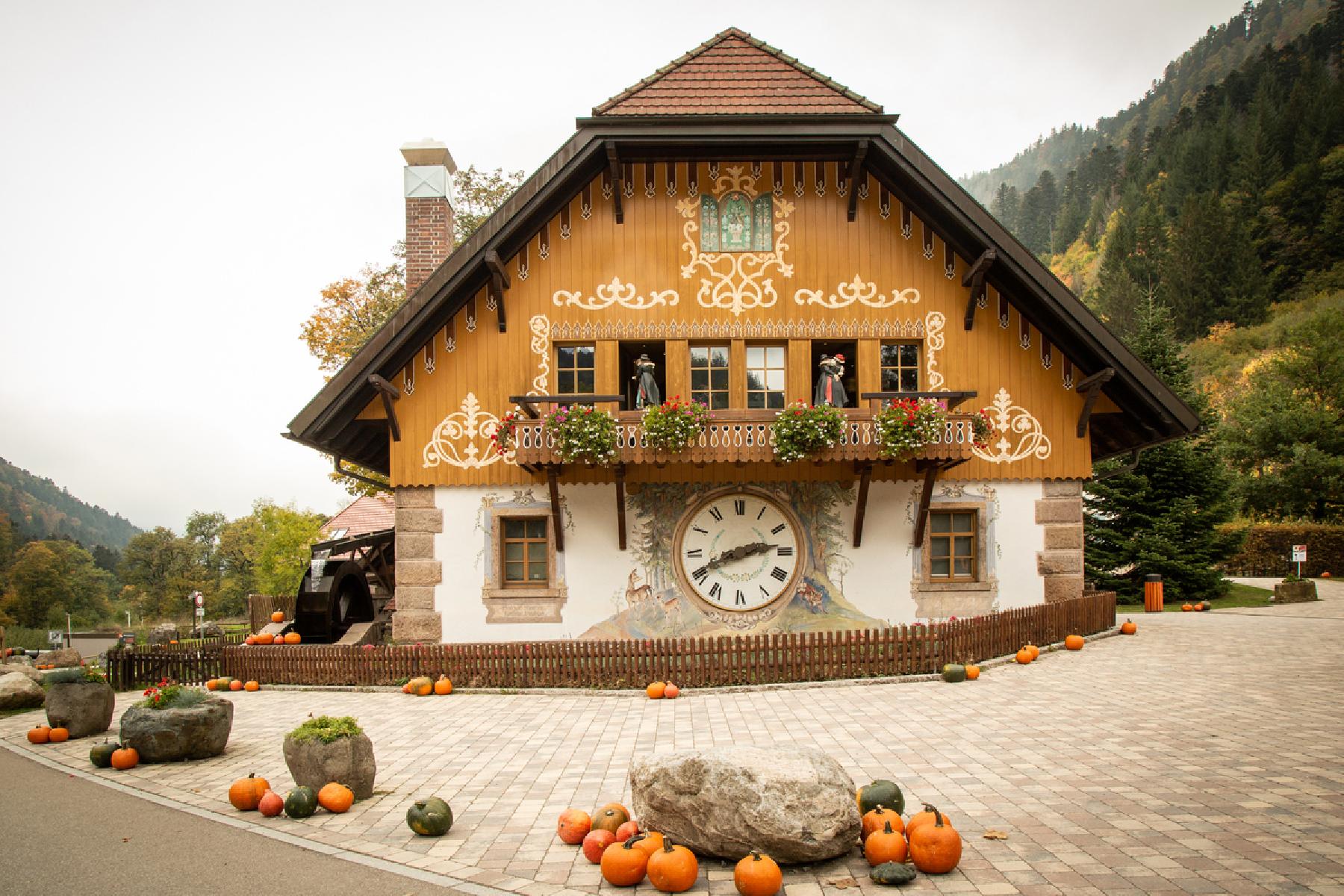 Apartment and Chalet Apartment and Chalet
