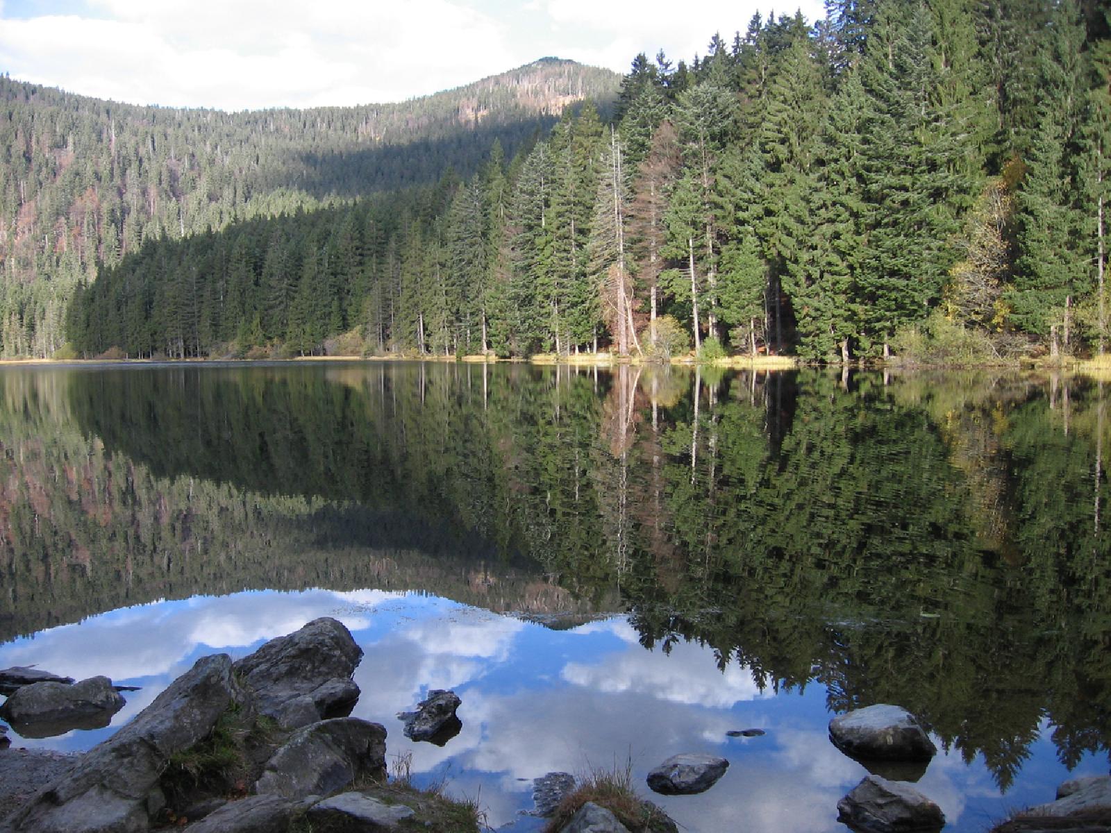 Landscape Landscape
