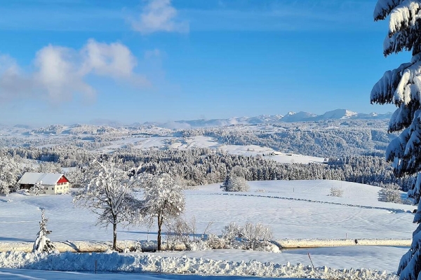 Landscape © Pixabay/ullaIBV