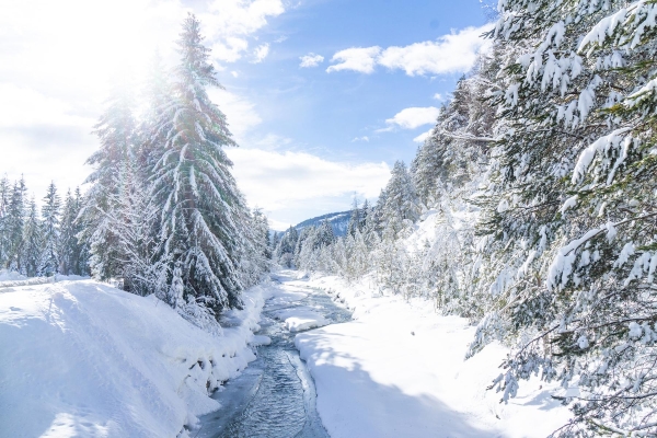 Landscape © Region Seefeld Landscape © Region Seefeld