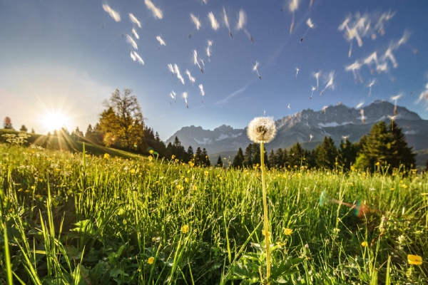 Landscape © EA Foto