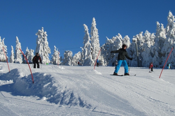 Landscape © Zweckverband Wintersportzentrum Mitterfirmiansreut-Philippsreut