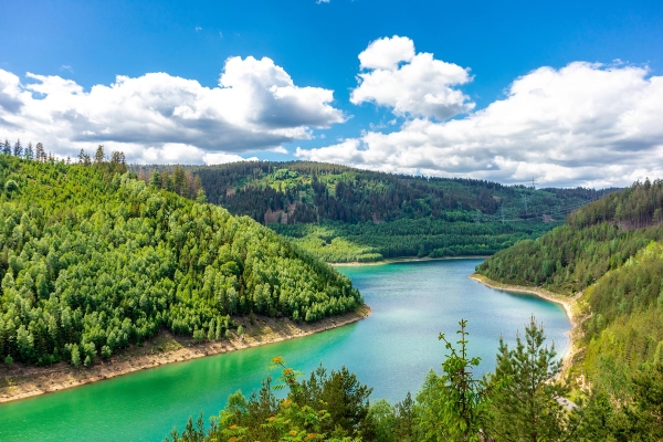 Apartment and Chalet