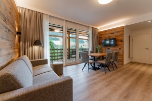 Apartment and Chalet 