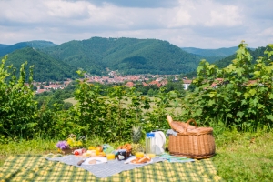 Landscape © Stadtmarketing Bad Lauterberg im Harz