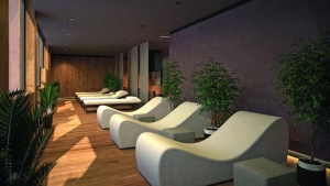 Spa and Wellness  Spa and Wellness