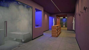 Spa and Wellness  Spa and Wellness