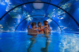 Alpentherme Bad Hofgastein © Alpentherme, Marktl Photography