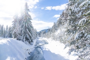 Landscape © Region Seefeld Landscape