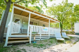 Apartment and Chalet 