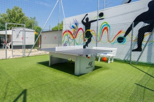 Conference Facilities 