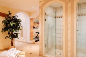 Spa and wellness  Spa and wellness