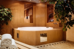 Spa and wellness  Spa and wellness