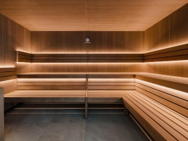 Spa and Wellness 