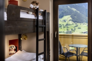 Apartment and Chalet 