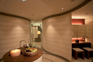 Spa and wellness 