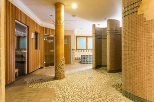 Spa and Wellness 