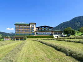 Apartment and Chalet 