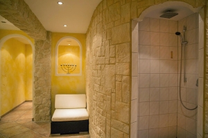 Spa and Wellness 