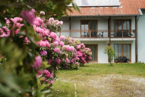 Apartment and Chalet 