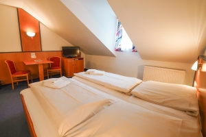 Apartment and Chalet 