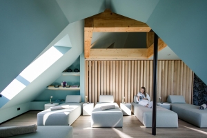 Spa and Wellness 
