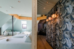 Spa and Wellness 
