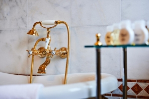 Spa and Wellness 