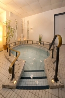 Spa and Wellness 