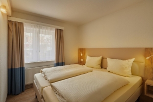 Apartment and Chalet 