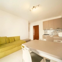 Apartment and Chalet 