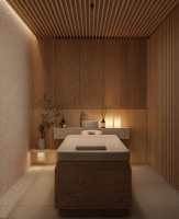 Spa and Wellness 