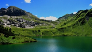 Landscape 