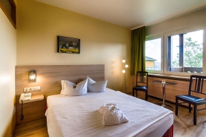 Apartment and Chalet 