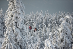 Landscape © Fichtelgebirge / FrankenTourismus / Hub