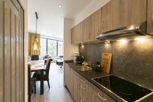 Apartment and Chalet 